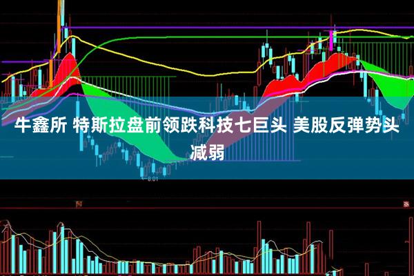 牛鑫所 特斯拉盘前领跌科技七巨头 美股反弹势头减弱