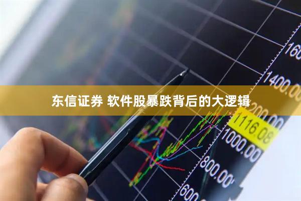 东信证券 软件股暴跌背后的大逻辑
